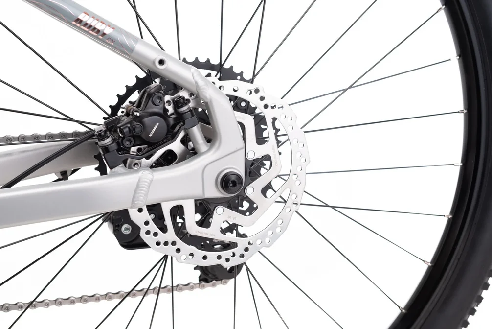 Elektrický horský bicykel CTM RUBY GX Pro - matná strieborná