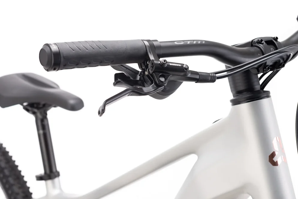 Elektrický horský bicykel CTM RUBY GX Pro - matná strieborná