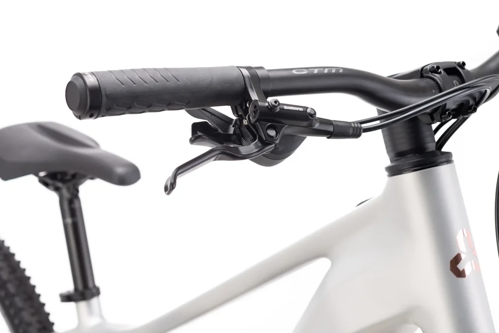 Elektrický horský bicykel CTM RUBY GX Pro - matná strieborná