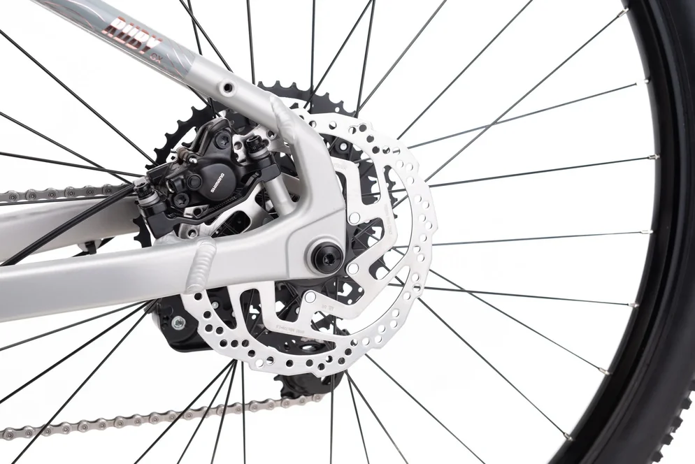 Elektrický horský bicykel CTM RUBY GX Pro - matná strieborná