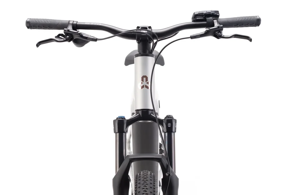 Elektrický horský bicykel CTM RUBY GX Pro - matná strieborná