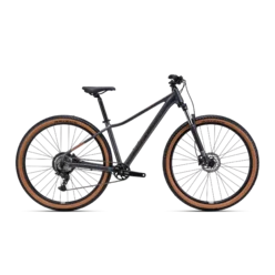 Horský bicykel CTM Charisma 1.0 29 – matná antracitová