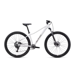 Horský bicykel CTM Charisma 1.0 29 – matná svetlošedá