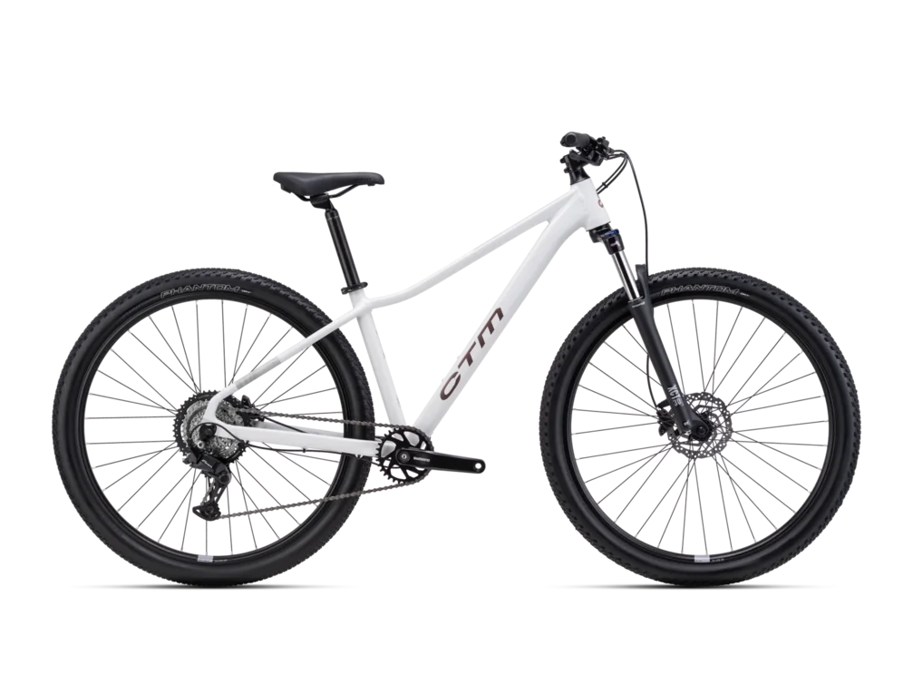 Horský bicykel CTM Charisma 1.0 29 – matná svetlošedá