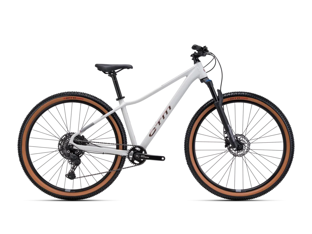 Horský bicykel CTM Charisma 3.0 29 – matná svetlošedá