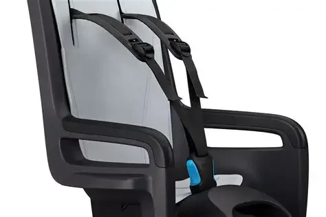Thule RideAlong 2 frame mount